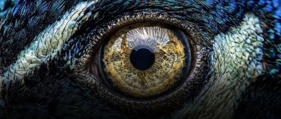 كلاينغ AI تطلق أول فيديوهات 4K أصلية في الصناعة