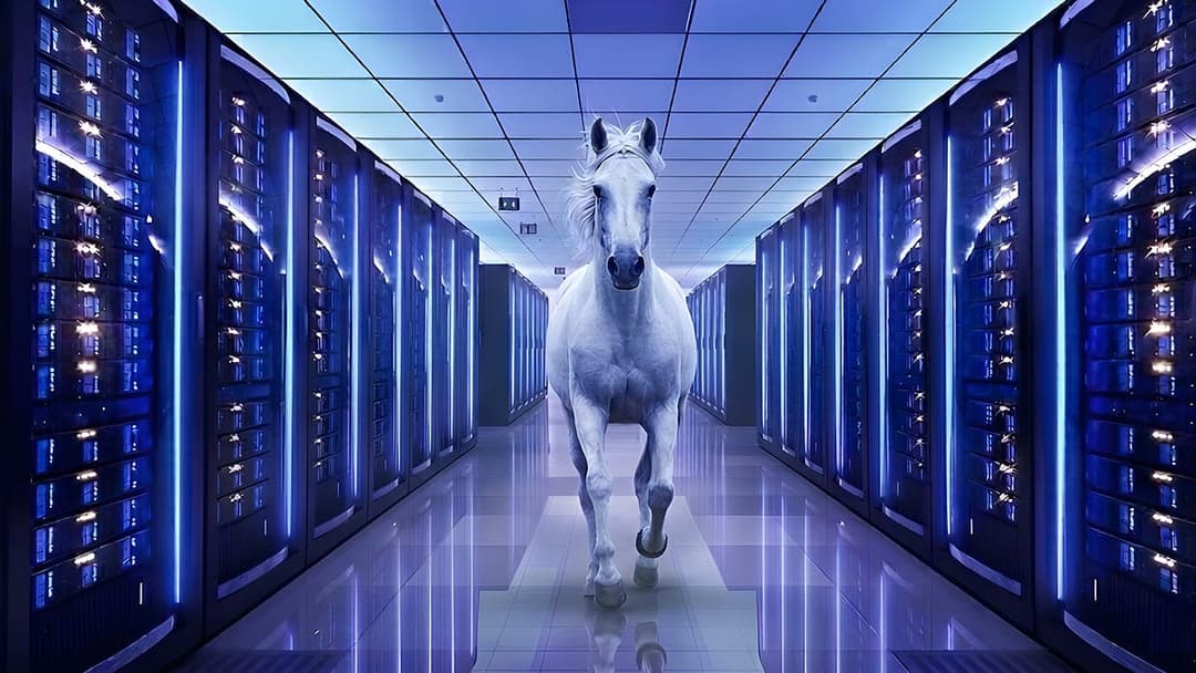 MIS lands $500 million HUMAIN data centre work order