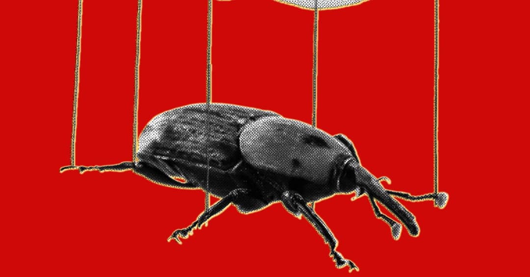 AI Tools Uncover Long-Standing Vulnerabilities in PHP Language