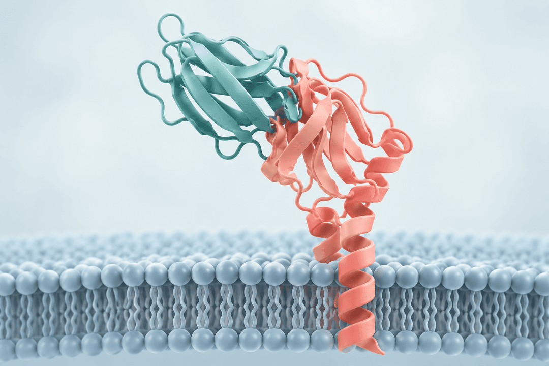 MoleculeMind تكشف عن نجاحاتها في تصميم البروتينات باستخدام MMDesign